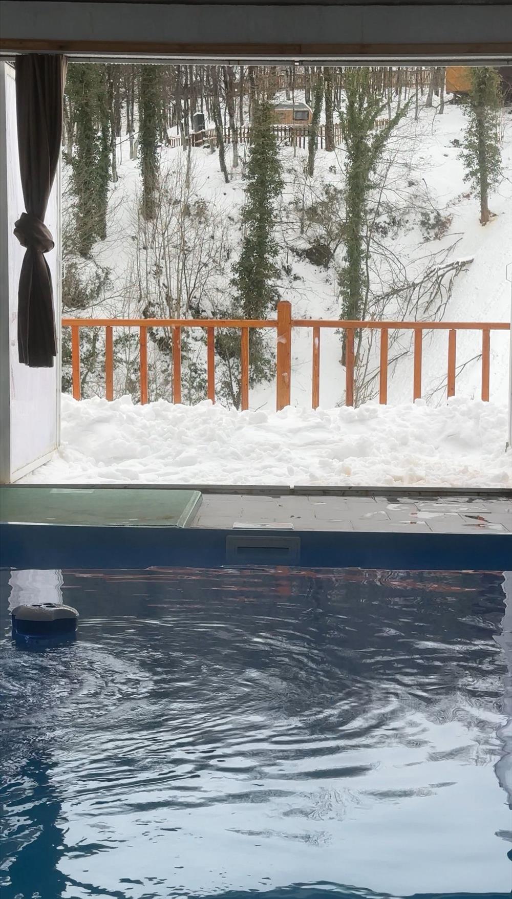 listing card gallery