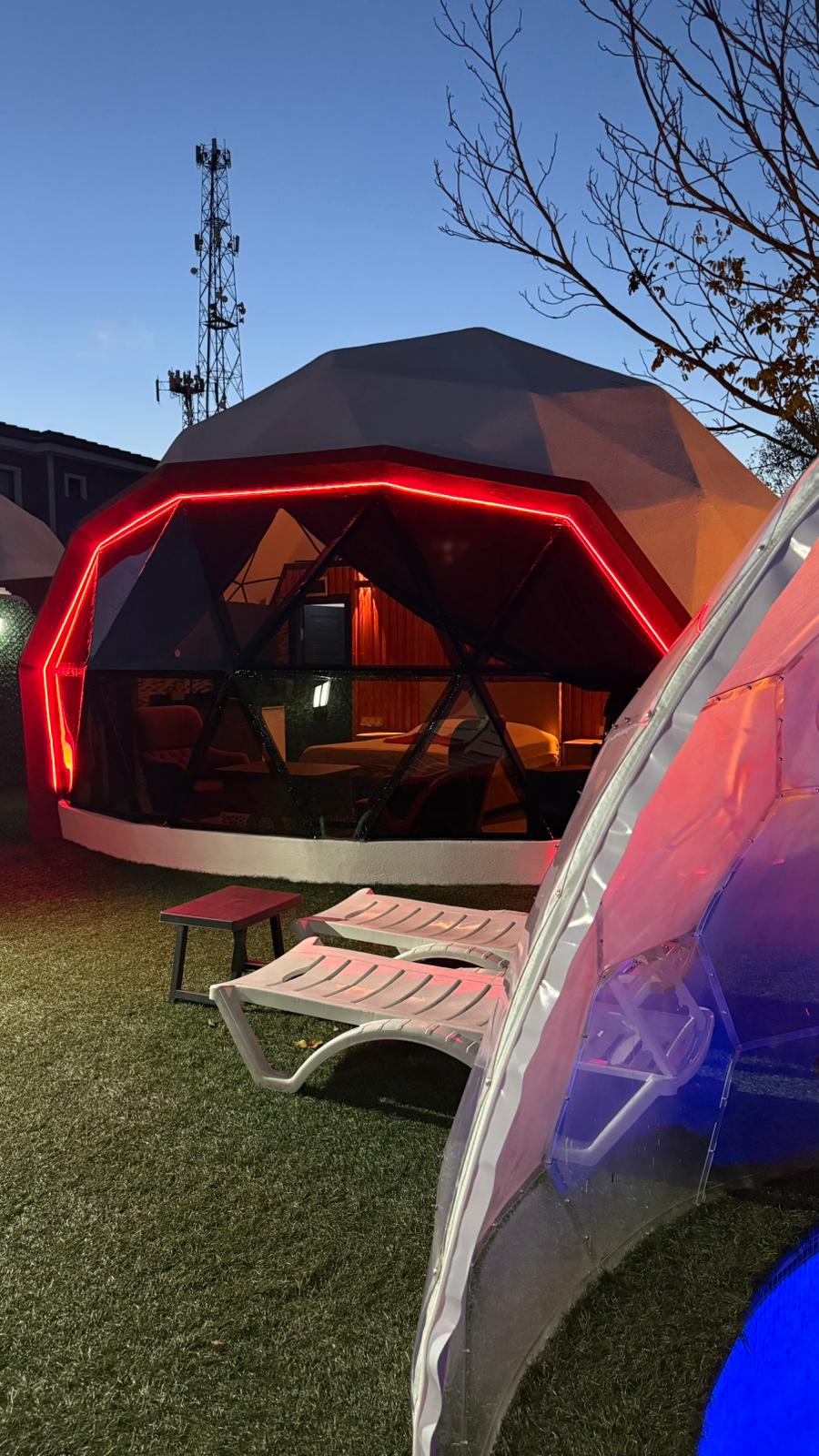 listing card gallery