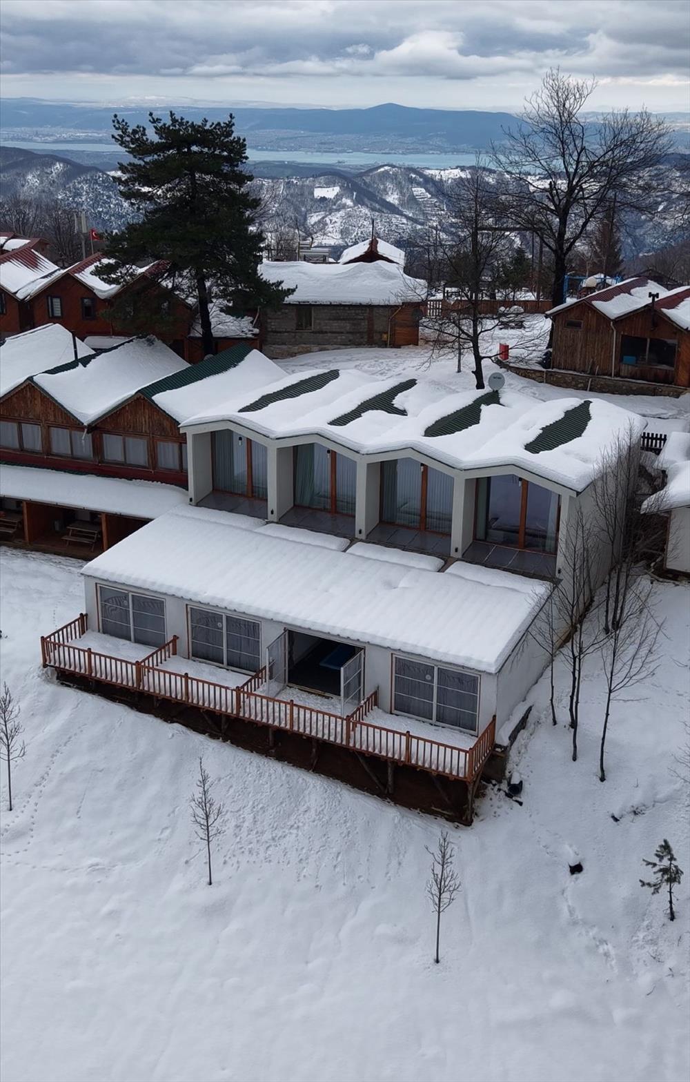 listing card gallery