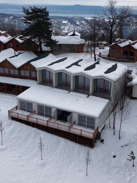 listing card gallery