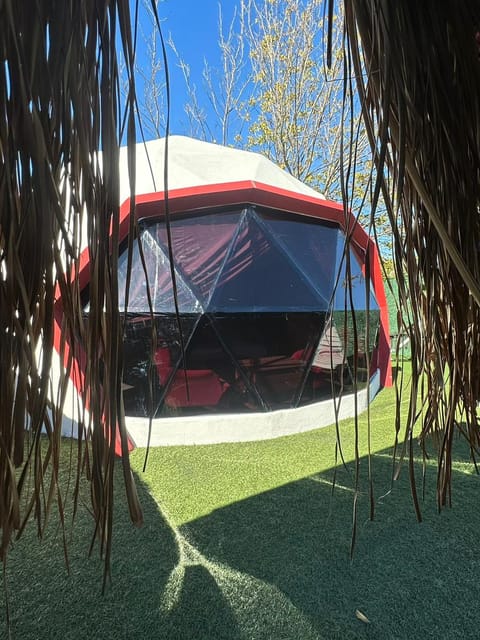 listing card gallery